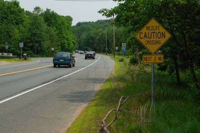 Wildllife crossing sign-1